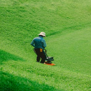 Best Lawn Care Services in Burke, VA | MowCow-https://mowcow.com/