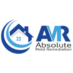 Absolute Mold Remediation Ltd.-https://absolutemoldremoval.ca/mold-removal-toronto/